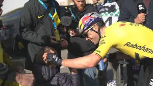 Trend Google: wout van aert