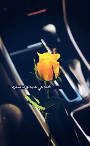 pin on روايات