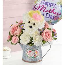 Everyone loves the smell of fresh flowers. Prom Gifts Flowers San Jose Ca Same Day Same Day Flower Delivery Delivery