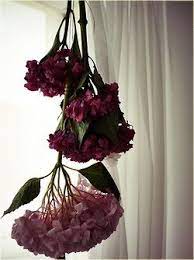 There is a piece of me in this and i hope a piece of you, my friends. Hang Your Flowers Bouquet Upside Down To Keep Them Around Forever Dried Flower Bouquet Beautiful Flowers Dried Flowers