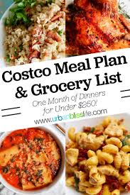 Is it true that costco in south florida will start carrying the healthy noodles in december? Costco Meal Plan For One Month Urban Bliss Life