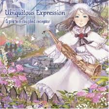 You're allowed to post other tributes as long you credit them Anime Lyrics Dot Com Doujin G Protein Coupled Receptor