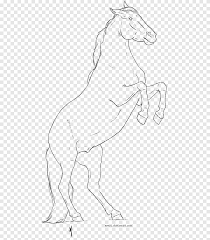 Maybe you would like to learn more about one of these? Mule Mane Mustang Halter Sketch Mustang Horse White Png Pngegg