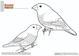 Mulai dari gambar sketsa pemandangan, gambar sketsa wajah, gambar sketsa bunga. Download Mewarnai Gambar Burung Indonesia Alamendah S Blog