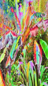 Create, solve, share and compete at jigidi.com Free Online Jigsaw Puzzles Page 3028 Jigidi Com