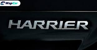 Dari tahun ke tahun, eksport produk halal malaysia dipelopori oleh syarikat bukan berstatus bumiputra. All New 2021 Toyota Harrier To Get Frontlander Twin In China Wapcar