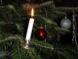 Christmas Trees Around The World Appleyard Blog