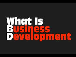 What Is Business Development Youtube