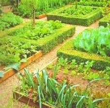 Maybe you would like to learn more about one of these? Vegetable Garden Layout And Vegetable Garden Designs