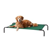 Magic dog super soft extra large dog bed orthopedic pet beds 47 inch jumbo washable anti slip dog sleeping mattress with removable cover, light grey xl 4.8 out of 5 stars 387 $55.99 $ 55. Amazon Basics Cooling Elevated Pet Bed Large 130 X 80 X 19 Cm Green Buy Online In Angola At Angola Desertcart Com Productid 85943761