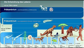 Biologie Erdgeschichte Diagram Quizlet Die menschheit schreibt sich in die erdgeschichte ein.