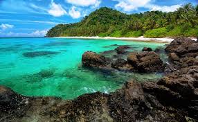 Indonesia merupakan negara dengan kekayaan laut yang begitu besar. Ternyata Inilah Kekayaan Laut Di Pulau Natuna Yang Indah Bukan Hanya Jadi Habitat Biota Laut Semua Halaman Bobo