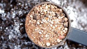 The ct4 fertilizer is, of course, perfect for citrus fruit, avocados and nut trees. Organic Fertilizers