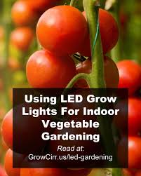 Our grow lights & sunlite® gardens employ the latest in t5 fluorescent and led grow light bulb technology. 18 Best Growing Vegetables Indoors With Led Grow Lights Ideas Growing Vegetables Indoors Led Grow Lights Grow Lights