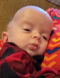 Obituary for Archer Priebe