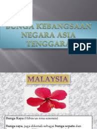 Bunga yang mempunyai lima kelopak dan berbentuk terompet ini datang dalam pelbagai warna dan saiz. Bunga Kebangsaan Asia Tenggara