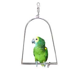 Diy bird cage from a media cabinet. Creative Bird Parrot Paw Swing Toy Hanging Diy Bird Cage Parakeet Perch Stand Hammock Ring Bridge Pet Supplies Free Shipping Bird Cage Perches Parrots Parrots Parrotsperch Bird Aliexpress