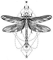 We would like to show you a description here but the site won't allow us. Ceesira Dragonfly Tattoo Design Dragonfly Tattoo Insect Tattoo
