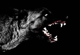 52 Black Aesthetic Tumblr Black Aesthetic Dark Aesthetic Dog Teeth