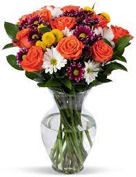 Best cut flowers for bouquets. Amazon Com Benchmark Bouquets Life Is Good Flowers Orange With Vase Fresh Cut Flowers Grocery Gourmet Food