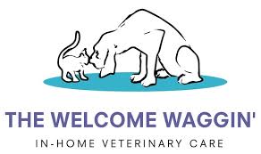 Early detection and treatment of a wide range of animal diseases. Mobile Veterinary Care Naperville Il The Welcome Waggin