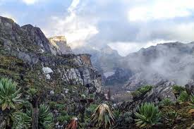 Speke (16,043 feet/ 4,890 m) there used to be huge glaciers on. The Mysterious Rwenzori Mountains Rwenzori Mountain