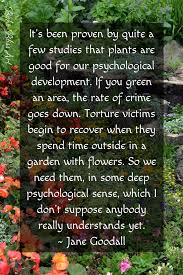 Jane Goodall World Changing Women Boom2bloom Com Nature Quotes Jane Goodall Quotes Nature