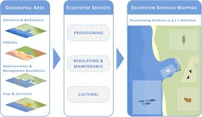 There are an estimated 390,900 different species of plants known to science. Ecosystem Services Provided By A Complex Coastal Region Challenges Of Classification And Mapping Scientific Reports