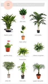 Plantes Purifiant L 39 Air Gardening Pinterest Houseplants Plants And Indoor Plants Plantes Purifiant L 39 Air Plants Indoor Plants Trees To Plant