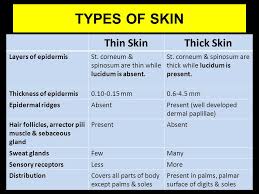 Skin And Its Appendages Dr Archana Rani Associate Professor