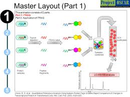 Track & locate your loved ones, pets & valuables anywhere, anytime with itraq's tiny, rechargeable gps+cellular+wifi global tracking device. Quantitative Proteomics Itraq Ppt Video Online Download