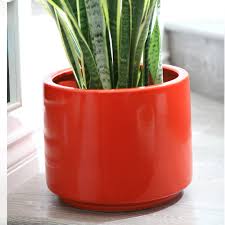 Baechu sprites (sam sebastian emily shane). Planters On Sale Now Wayfair