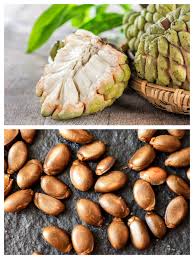 Image result for Annona squamosa