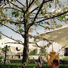 De naam van de theetuin is ontleend aan de stereotype hoge (kwakel) bruggetjes over de linschoten. Theetuin H Eerlijk De Kwakel Restaurant Reviews Photos Phone Number Tripadvisor