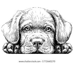 We did not find results for: Dog Paw Border Clipart Puppy Clipart Black And White Stunning Free Transparent Png Clipart Images Free Download