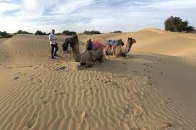 We have been organizing camel safaris since 1987.we offer you unique camel safaris as well as jeep tours during which you will cross dunes and. Camel Safari Day Tour In Jaisalmer 2021