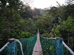 Bagaimana jika anda meluangkan masa untuk pergi ke sini? Info Tempat Menarik Eko Menarik Di Keningau Facebook