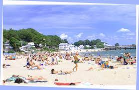 Crystal Beach Ontario Crystal Beach Ontario A Great Place To Live Or Vacation Crystal Beach Vacation Spots Travel