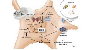 Triose Phosphate Isomerase Deficiency Tpi A Rare Disorder That Download Scientific Diagram