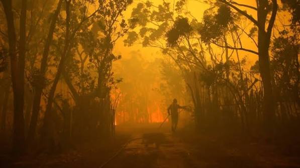 Catastrophic scenes from the Gospers Mountain bushfire in 2019 - ABC News