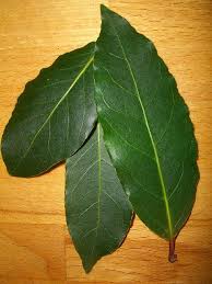 Lorbeer Fur Die Gesundheit Gesundheit Naturliche Gesundheit Lorbeerol