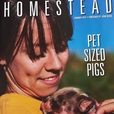 I have 2 pure bred durox breeding pigs for sale. The Little Pig Farm Ontario Home Facebook