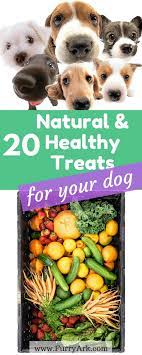 20 Natural And Healthy Dog Treats That He Will Love Furry Ark Can Dogs Eat Natural Dog Treats Healthy Foods Dogs Can Eat