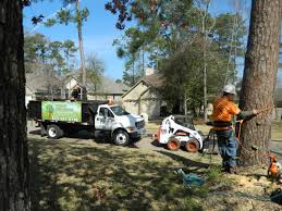 Established in 2003, professional tree service is your trusted tree service provider in rosenberg, texas and the surrounding areas. About Us Rothco Tree Service Woodlands Spring Conroe Magnolia Kingwood