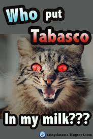 Top 10 Funniest Cat Memes Quotes Memes Cat Funny Hilarious Sassyclassyme Funniest Cat Memes Funny Cat Memes Best Funny Images