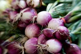 Maybe you would like to learn more about one of these? Growing Onions Insteading