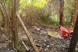 In addition, its popularity is due to the fact that it is a game that can be played by anyone, since it is a mobile game. Girl 12 Dragged Into A Bush By A Man In A Ghillie Suit And Raped Faces Her Attacker In Court Daily Mail Online