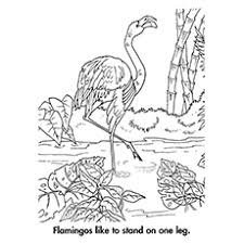 You might also be interested in coloring pages from flamingos category. Top 10 Flamingo Coloring Pages For Toddlers
