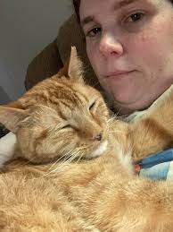 Lost orange cat in Cherokee County, GA