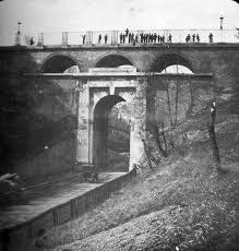 Image result for Grey 1964 Fleet